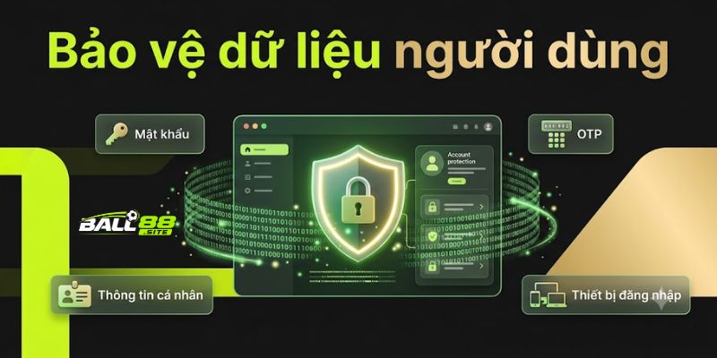 Chính sách Ball88 giúp bảo vệ dữ liệu người dùng
